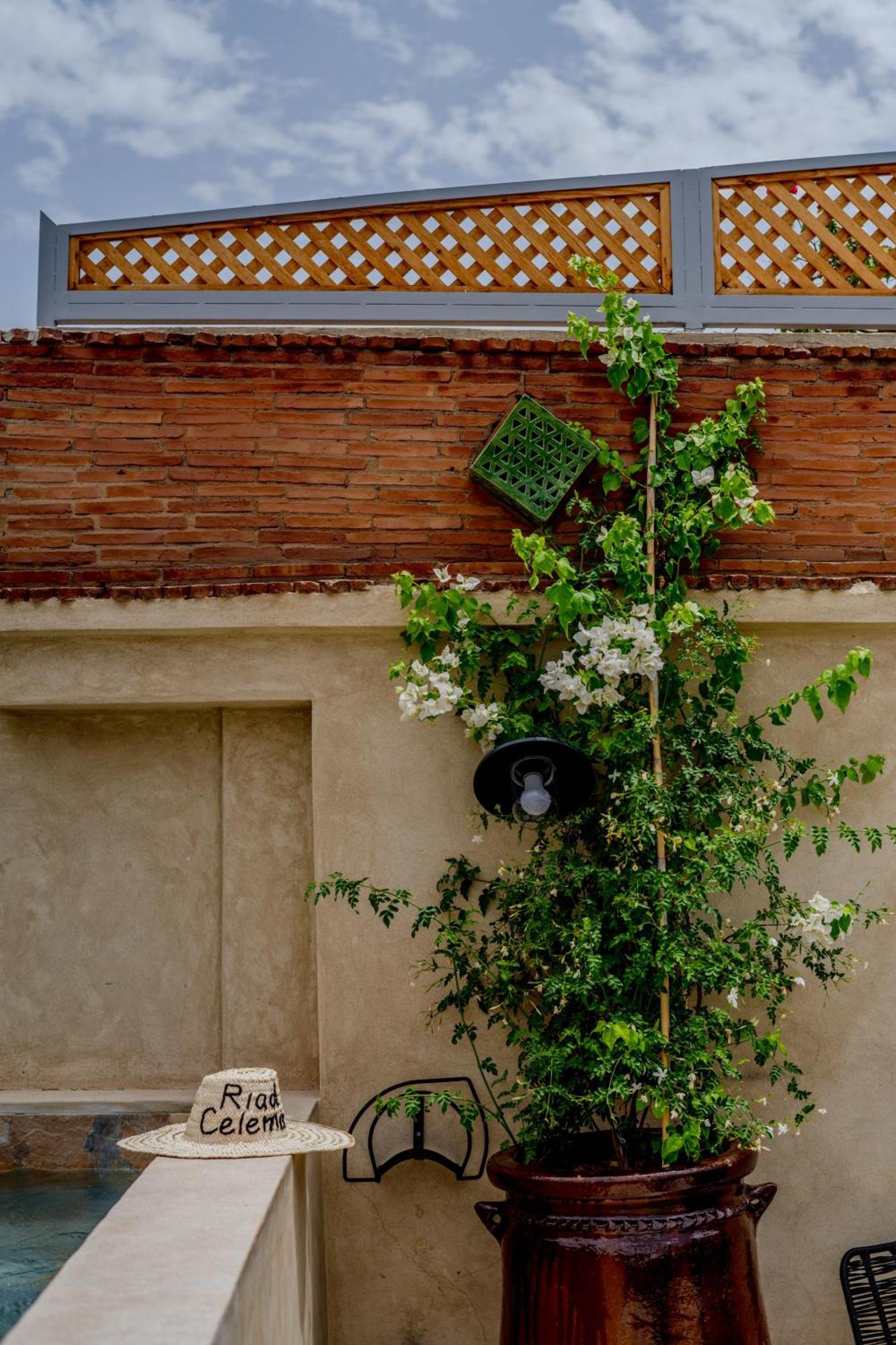 Riad Celema & Spa Marrakesh Luaran gambar